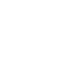 BARTS Festival