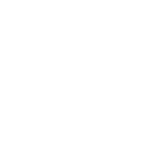 Santvi Fest